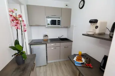 Cuisine ou kitchenette dans l'établissement LES TERRASSES DE BORDA***