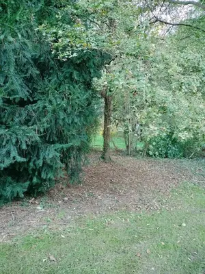 Jardin de l'établissement Villa charmante à Saint-Vincent-de-Paul avec piscine privée