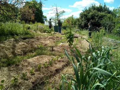 Jardin de l'établissement Ricouch, chambre d'hôtes et permaculture