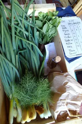 Plan de l'établissement Ricouch, chambre d'hôtes et permaculture