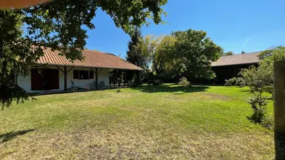 Jardin de l'établissement Villa au milieu des pins / bord du lac