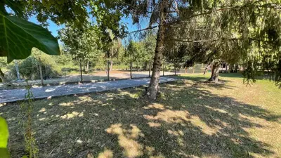 Jardin de l'établissement Villa au milieu des pins / bord du lac