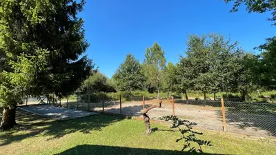 Jardin de l'établissement Villa au milieu des pins / bord du lac