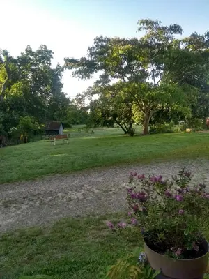 Jardin de l'établissement La maison de pescate