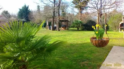 Jardin de l'établissement Le Clos des Palombes WIFI CLIMATISATION