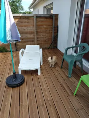 Terrasse ou espace extérieur de l'établissement Chez Cathy