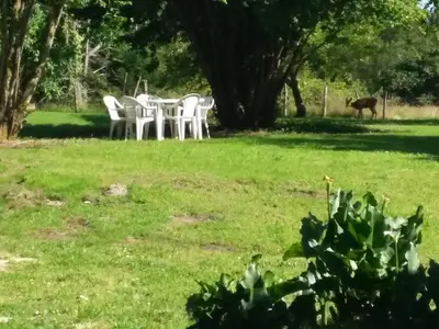 Jardin de l'établissement maison d'hôtes labastide