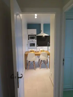 Cuisine ou kitchenette dans l'établissement Appartement de vacances avec jardin à Tarnos