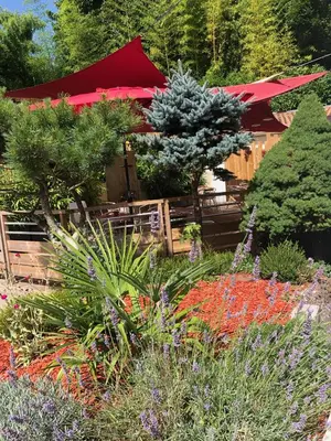 Jardin de l'établissement Hôtel du Lac d'Arjuzanx
