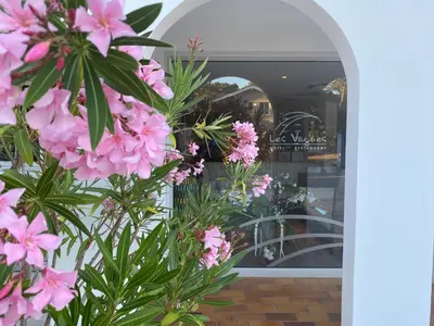 Jardin de l'établissement Les Vagues Logis Hôtel