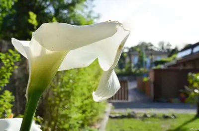 Jardin de l'établissement Eco logis le colibri