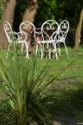 Jardin de l'établissement Eco logis le colibri