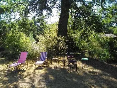 Jardin de l'établissement Maison rustique près de Callen avec piscine