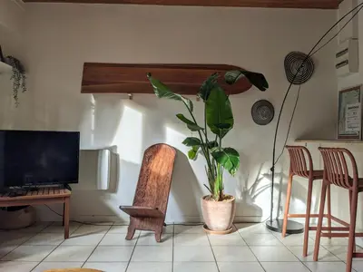 Télévision ou salle de divertissement dans l'établissement HOSSEGOR LA VIGIE entre lac et océan