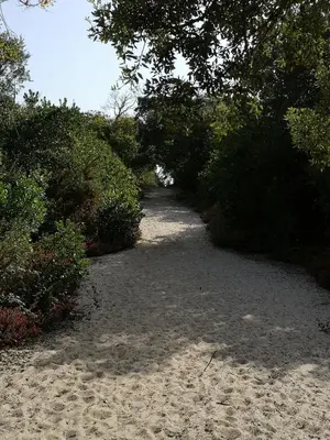 Paysage naturel près de le B&B/chambre d'hôtes