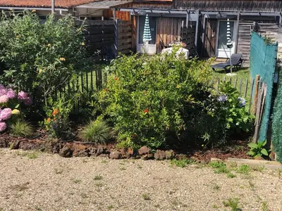 Jardin de l'établissement Les logis d'argent Studio indépendant Parking Entrée autonome Linge de Lit et Serviettes Wifi fibre TV connectée