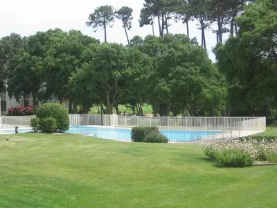 Piscine de l'établissement T2 avec terrasse, animaux acceptés, parking - FR-1-379-113 ou située à proximité