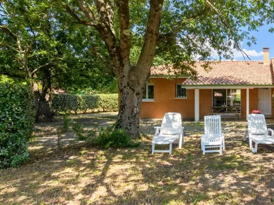 Jardin de l'établissement Holiday Home La Lette II Albizzias by Interhome