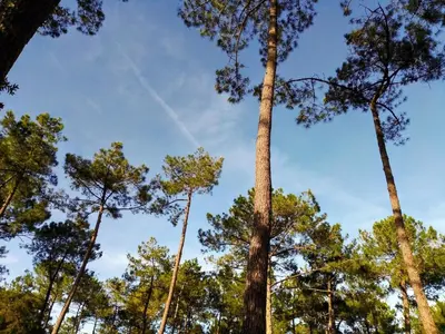 Paysage naturel près de le complexe hôtelier