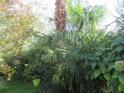 Jardin de l'établissement Gîte Habas