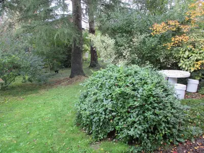 Jardin de l'établissement Gîte Habas