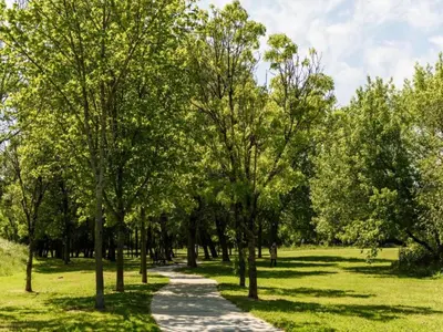 Jardin de l'établissement Charming Stay in Heart of Dax