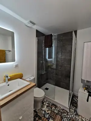 Salle de bains dans l'établissement Les appartements du centre, refaits à neuf, climatisés, hyper centre, 50m à pieds des commerces, restaurants, parking gratuit