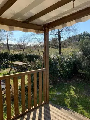 Jardin de l'établissement MH 313 Les Dunes de Contis 3 chambres et 2salles de bain