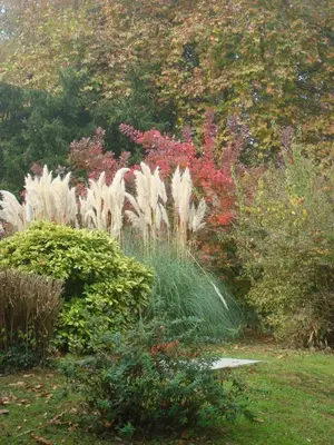 Jardin de l'établissement Château du Rau - Dépendance - Gîte n°12