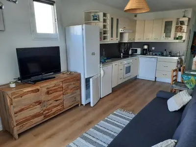 Cuisine ou kitchenette dans l'établissement Joli T2 38 m2 rénové idéalement situé