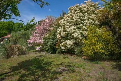 Jardin de l'établissement LE GAHOUN - Chalet