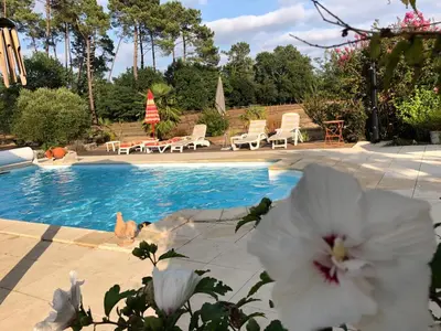 Piscine de l'établissement LE GAHOUN - Chalet ou située à proximité