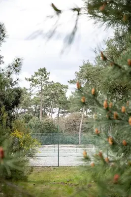 Paysage naturel près de la maison de vacances