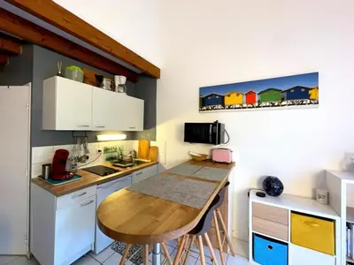 Cuisine ou kitchenette dans l'établissement Appartement T2 mezzanine avec terrasse et animaux acceptés - FR-1-379-119
