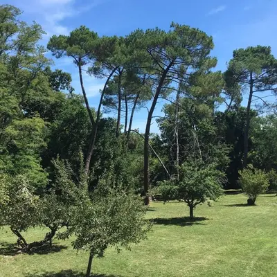 Jardin de l'établissement Les Volets Violets