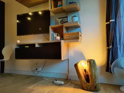 Télévision ou salle de divertissement dans l'établissement studio Seignosse Océan (plages et commerces à pied)