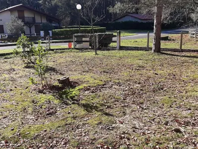 Jardin de l'établissement Maison Landaise avec Jardin, 4 Ch, Proche Plages et Golf à Seignosse - FR-1-239-600