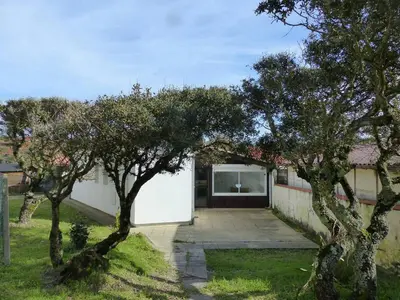 Jardin de l'établissement HOSSEGOR PLAGE- Villa PAUL -Petite villa rénovée pour 4 personnes- Wifi gratuit