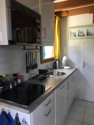 Cuisine ou kitchenette dans l'établissement Villa OCELANDES