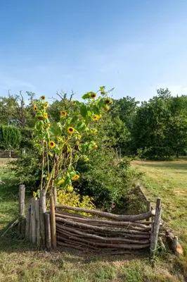 Jardin de l'établissement LA GRANDE JAOUGUE