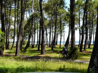 Paysage naturel près de la maison de vacances