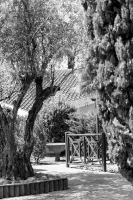Jardin de l'établissement Résidence Amaréna
