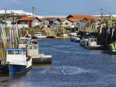 Vue sur la rivière ou le fleuve situé(e) à proximité de la maison de vacances