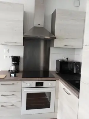 Cuisine ou kitchenette dans l'établissement Studio de charme au centre ville