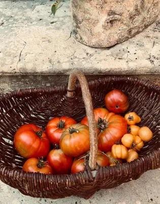Nourriture dans le B&B/chambre d'hôtes ou à proximité