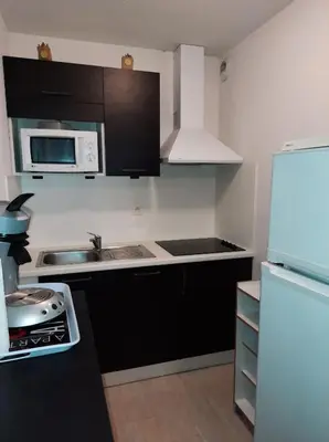 Cuisine ou kitchenette dans l'établissement Appartement 1 chambre et 1 coin cabine, piscine, au bord du lac d 'Aureilhan,proche de Mimizan plage