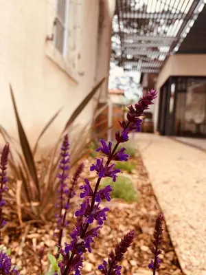 Jardin de l'établissement CHEZ FLO