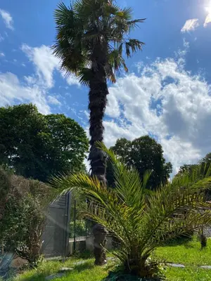 Jardin de l'établissement Appartement calme entre Côte Basque et Landes