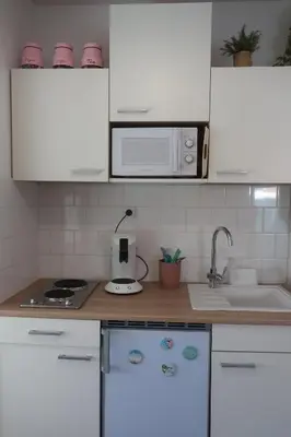 Cuisine ou kitchenette dans l'établissement Coté Lac mini