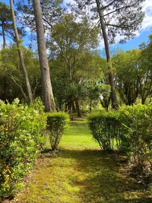 Jardin de l'établissement Appartement du Golf Les Bastides piscine et océan